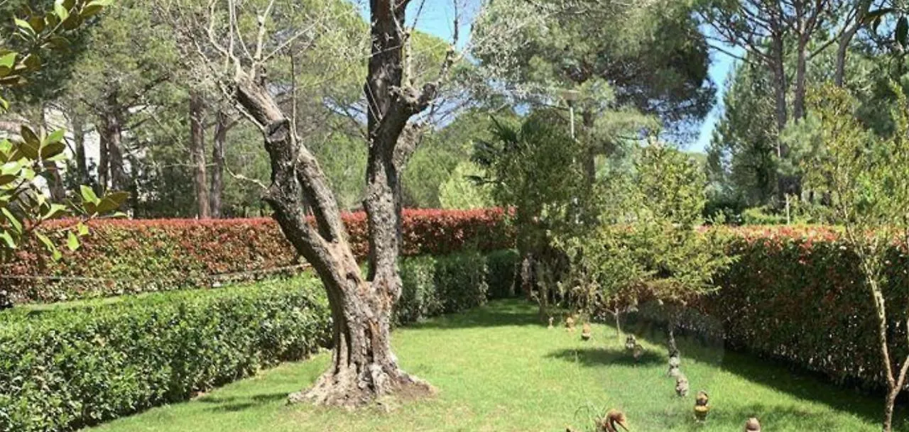 Villa Shera Plazhi San Pietro